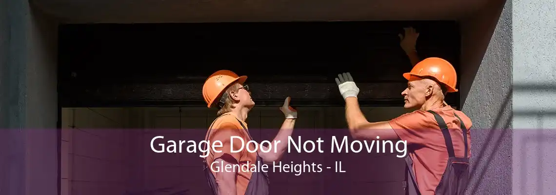 Garage Door Not Moving Glendale Heights - IL